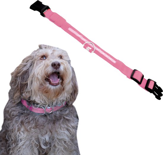 Dutchwide Lichtgevende Halsband Hond - Extra Sterk - XS 28 cm tot 38 cm - Hondenhalsband - Klikhalsband - Verstelbaar - Reflecterend