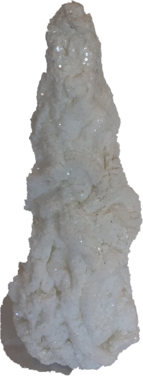 sneeuwboom