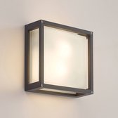 ELC - Wandlamp buiten - 2 lichts - drukgegoten aluminium, glas - H: 25 cm - E27 - donkergrijs, gesatineerd