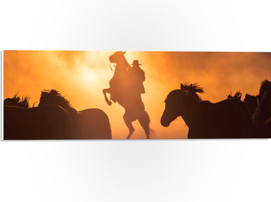 WallClassics - PVC Schuimplaat - Cowboy tussen Rennende Paarden - 60x20 cm Foto op PVC Schuimplaat (Met Ophangsysteem)