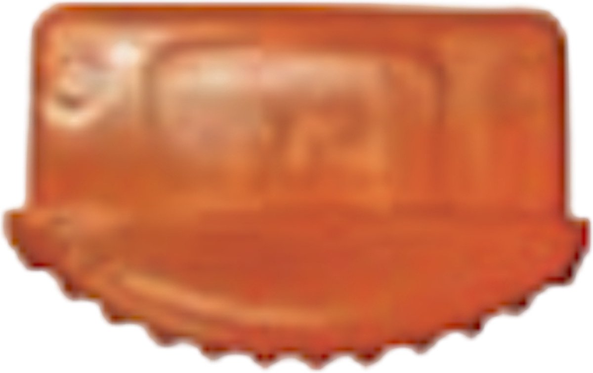 Facal Genia PL-037-A Laddervoeten 65 x 25 mm plug-in oranje | set van 2 stuks