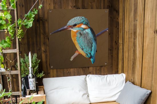 Tissu de jardin Kingfisher - Branches - Coloré - 100x100 cm