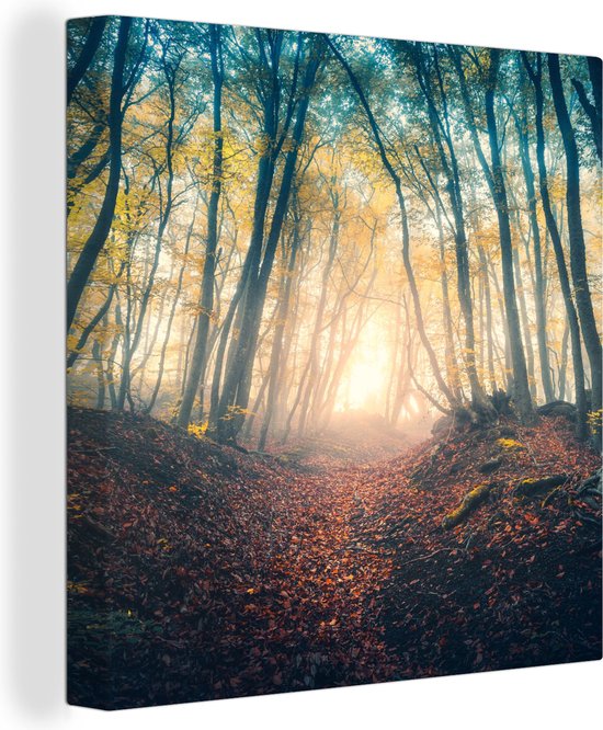 Tableau sur toile Forêt - Brouillard - Soleil - Automne - 20x20 cm - Décoration murale