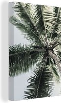 Canvas Schilderij Palmboom - Tropical - Zomer - 80x120 cm - Wanddecoratie