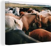 Canvas Schilderij Paarden - Dieren - Wild - 80x60 cm - Wanddecoratie