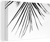 Tableau Toile Palmier - Été - Feuilles - Tropical - 30x20 cm - Décoration murale