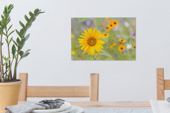 Toile de tournesol 30x20 cm - petit - Tirage photo sur toile (Décoration murale salon / chambre) / Peintures Fleurs sur toile