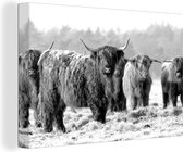 Canvas Schilderij Schotse hooglanders op een winterochtend - zwart wit - 120x80 cm - Wanddecoratie