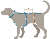 Harnais de sécurité pour chien Annyx marron pétrole taille XS adapté à la taille de la poitrine; 43-52cm