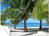 Tuinposter - Tuindoek - Tuinposters buiten - Palmbomen en het parelwitte strand in Glover’s Reef - 120x90 cm - Tuin