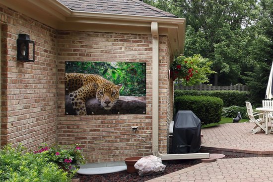 Jaguar repose de jardin affiche en vrac 120x80 cm - Toile de jardin / Toile d'extérieur / Peintures pour l'extérieur (décoration de jardin)