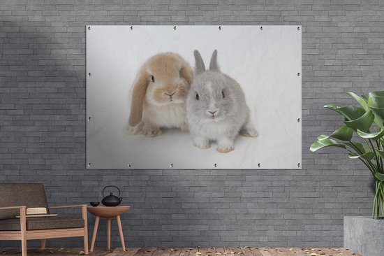 Affiche jardin - Deux lapins - 180x120 cm - XXL
