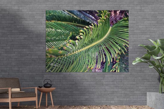 Image d'une plante de sagou vert foncé Poster de jardin 160x120 cm - Toile de jardin / Toile d'extérieur / Peintures d'extérieur (décoration de jardin) XXL / Grand format!