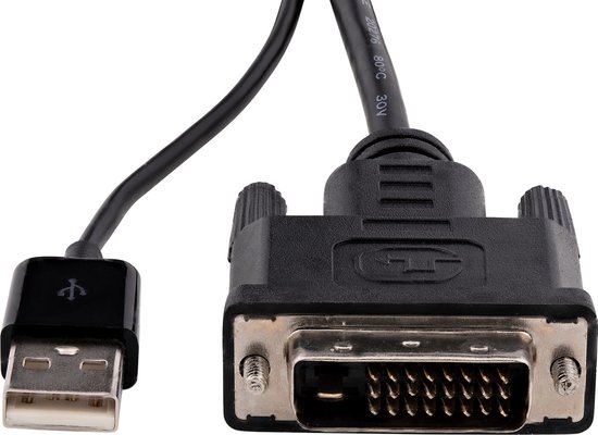 StarTech.com Adaptateur DVI vers DisplayPort avec alimentation USB - 1920 x 1200