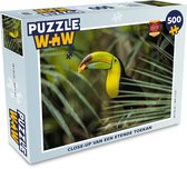 Puzzle Gros plan d'un toucan qui mange - Puzzle - Puzzle 500 pièces
