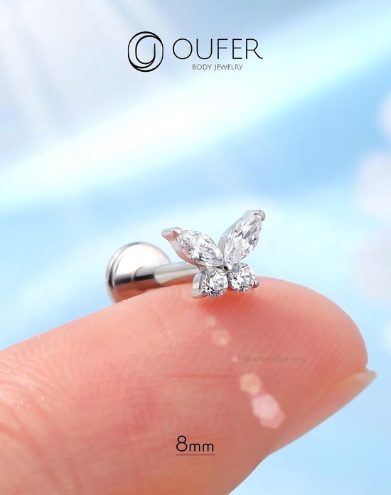 Body Piercing Threadless Labret Piercing 316L Roestvrij Staal Helix Oorbel 16G Push in Labret Monroe Lip Ring Tragus Stud Piercing Sieraden — afbeelding 2