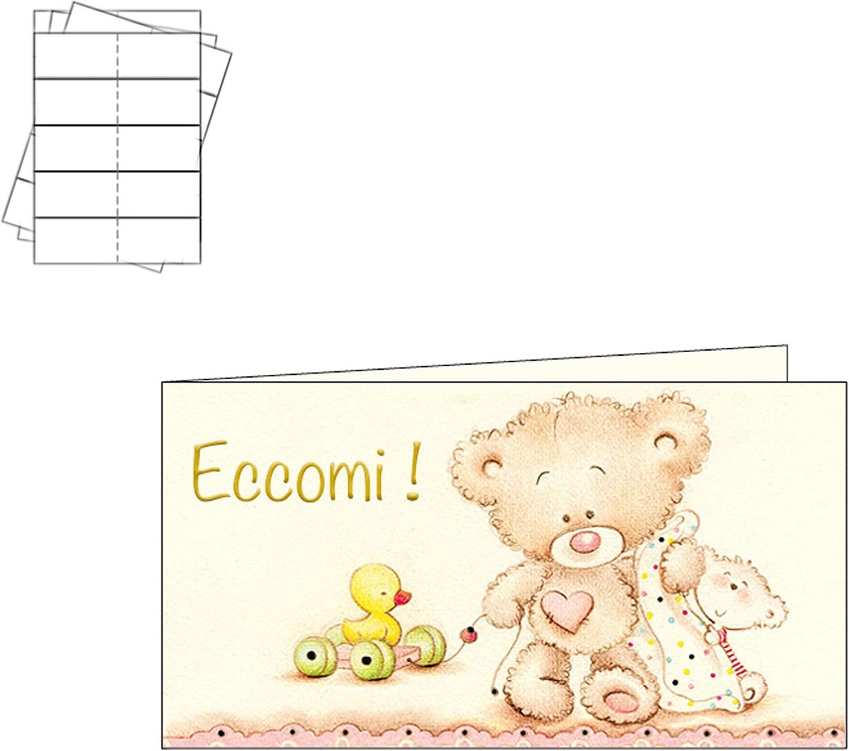 40 kaarten voor gastgeschenken voor de geboorte van een meisje (geboorte N3)