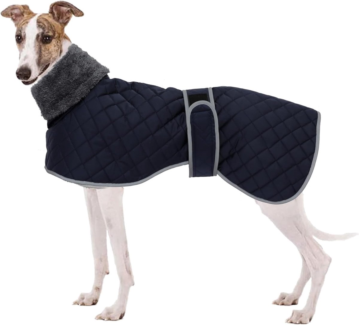 Windhond Fleece Trui, Windhond Winterjas, Whippet Winterjas waterdicht winddicht Outdoor Hondenkleding voor Whippet Lurcher Salukis - Blauw - M