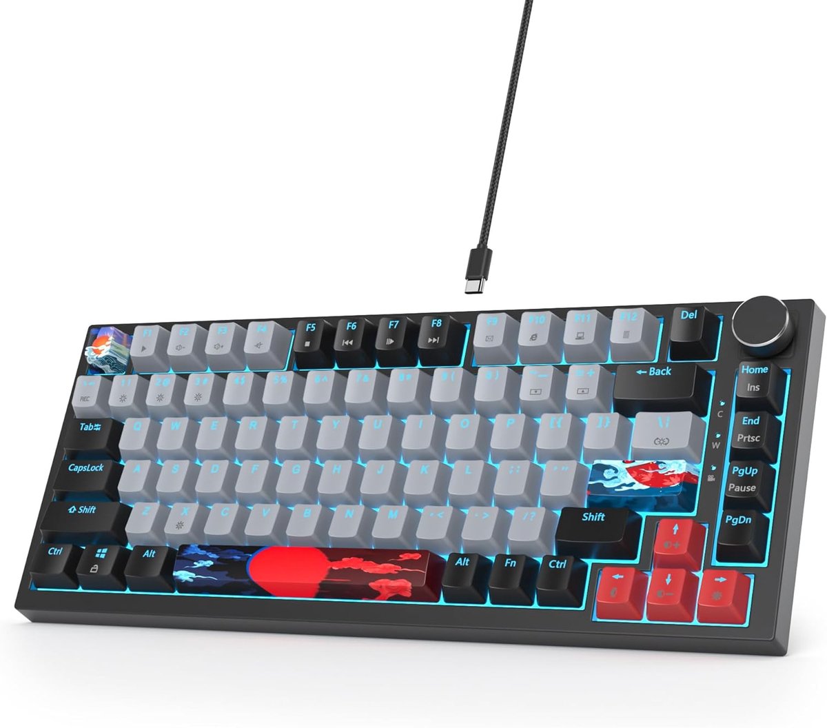 Mechanisch gaming toetsenbord, bekabeld, 75% hot-swappable, RGB-toetsenbord met rode schakelaar, TKL 82 toetsen PBT, compact NKRO-toetsenbord met volumeregelingsknop (82 Dolch)