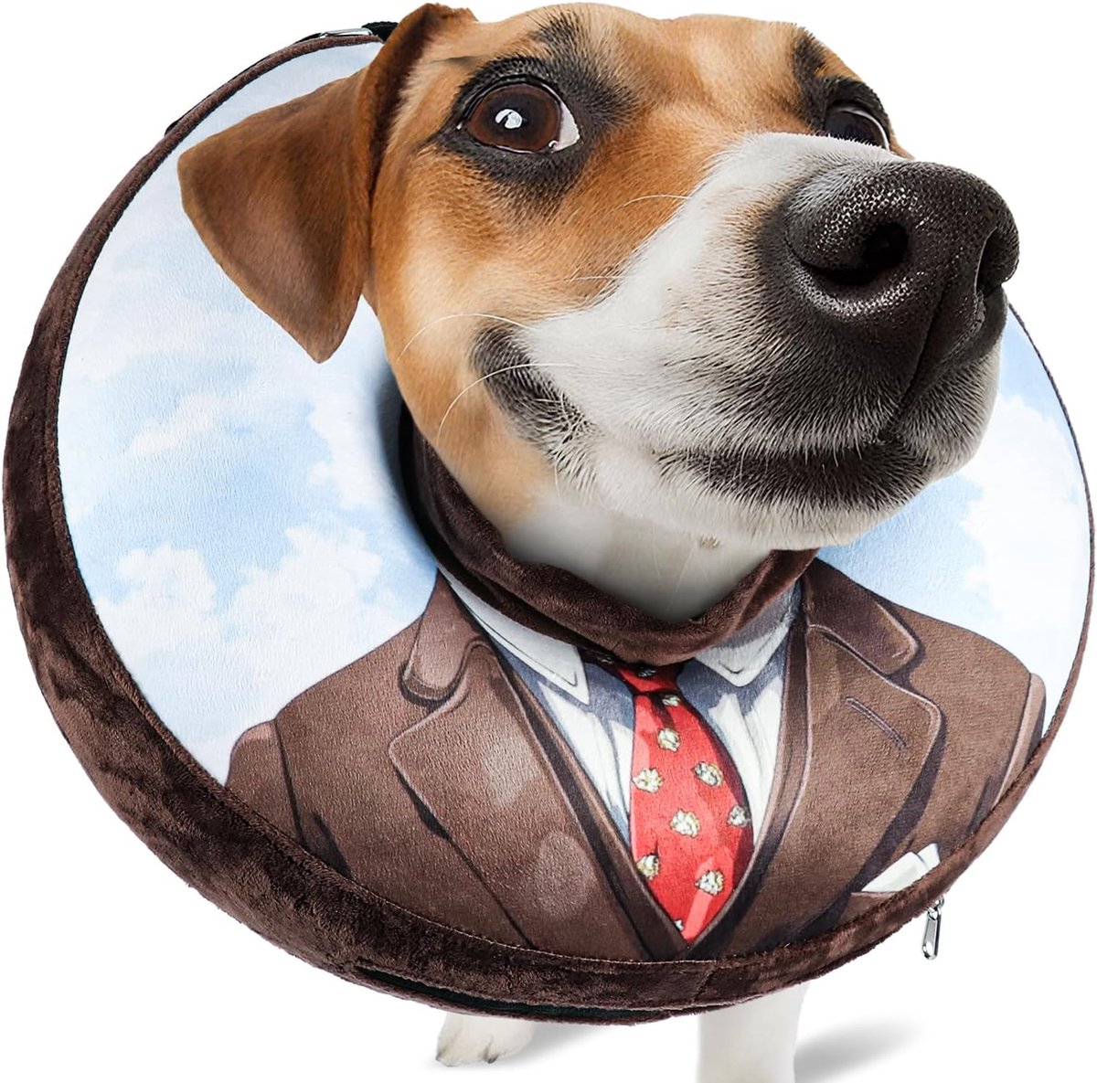 halsband voor honden & katten - Zachte beschermende kraag met verstelbare trekkoord, Ideaal na operaties of bij wonden, Zicht blijft vrij, XL