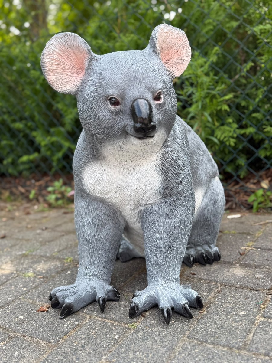 Goodyz - Wilde dieren - Koala - Koalabeer - Australië - Originele kleur - 60cm hoog