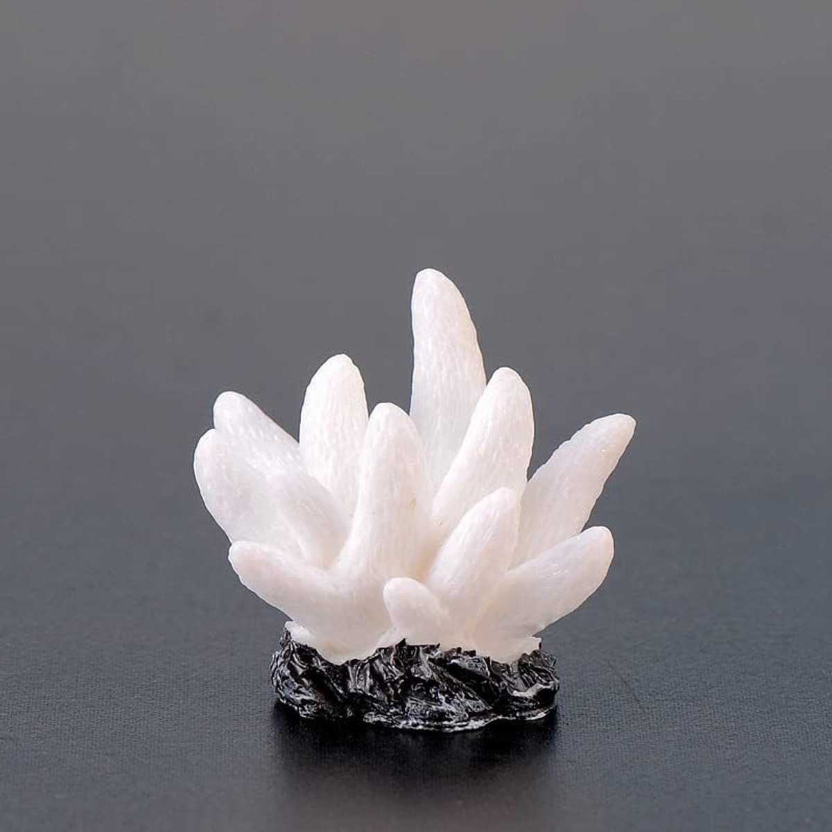 Koraal - voor zoet en zout water - decoratie koraal aquarium - 7 wit