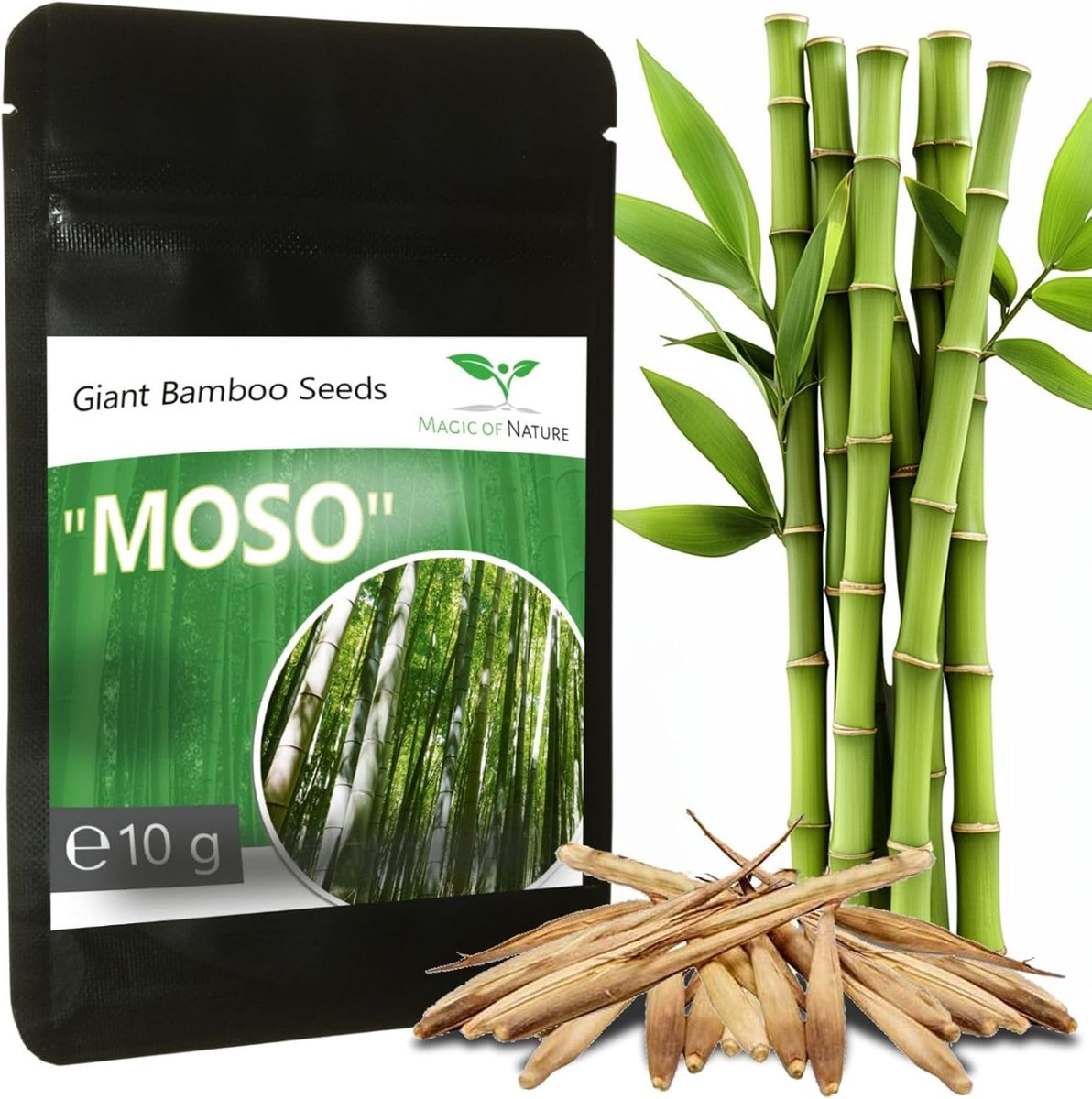 Giant Bamboo Zaden 10 g - Snelle groei - Ideale privacybescherming voor uw tuin - SnelShoppen