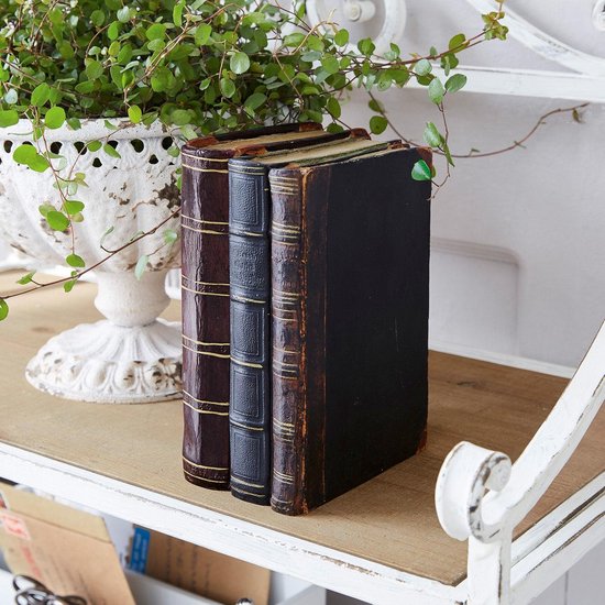 LOBERON Livres décoratifs Boaz marron