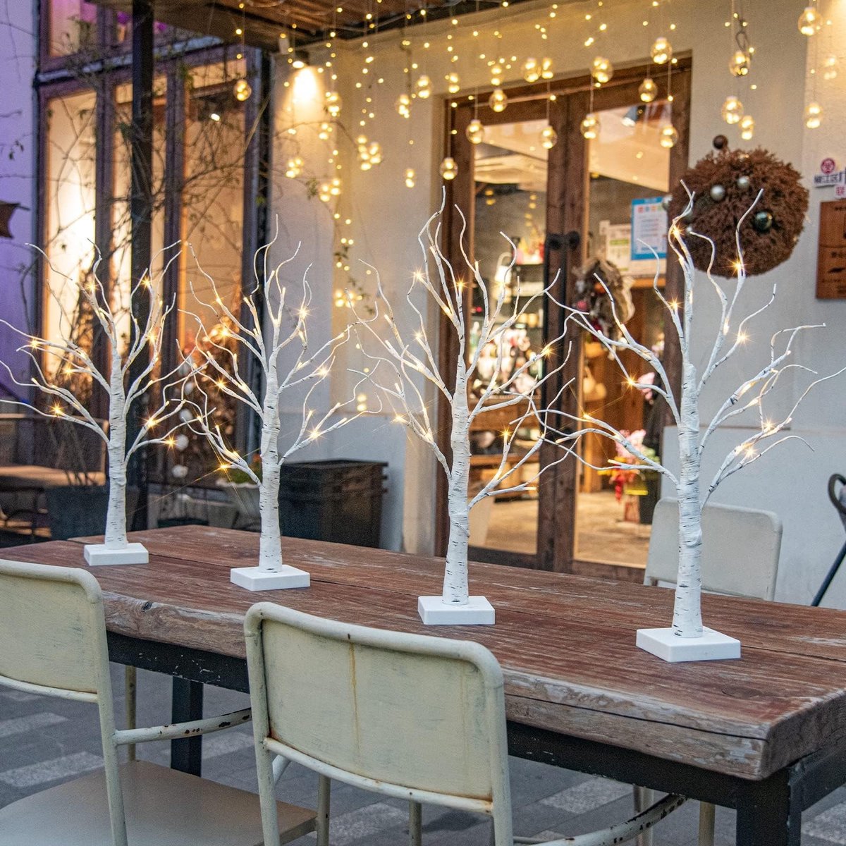 Solidchoice - Lichttakken voor Binnen - 24 Warmwitte LED's - Berken Decoratie, 4 Stuks