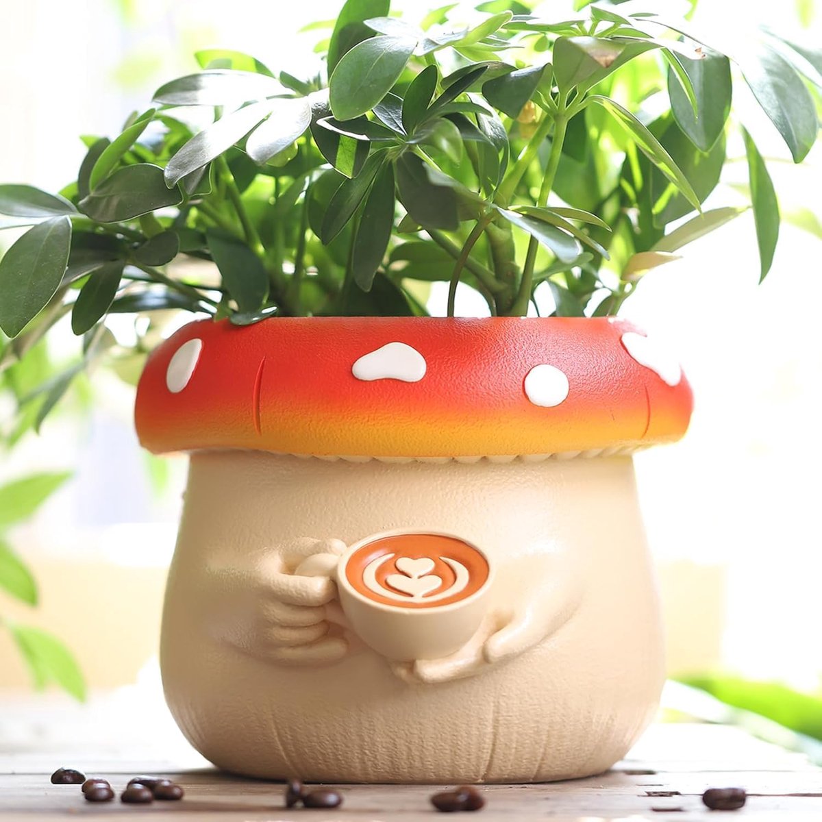 Cute Coffee Cups, Mushroom Flower Pot Colourful Plant Pot for Indoor Plants, Unique Flower Pot with Drainage - ShopVlot