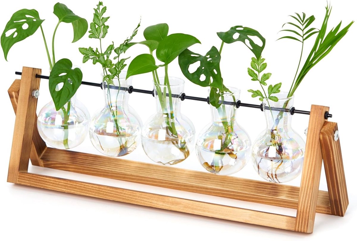 Vintage Propagation Station met 5 Glazen Bollen, Houten Stand, Ideaal voor Planten, Terrarium en Hydroponische Bloemen Vazen