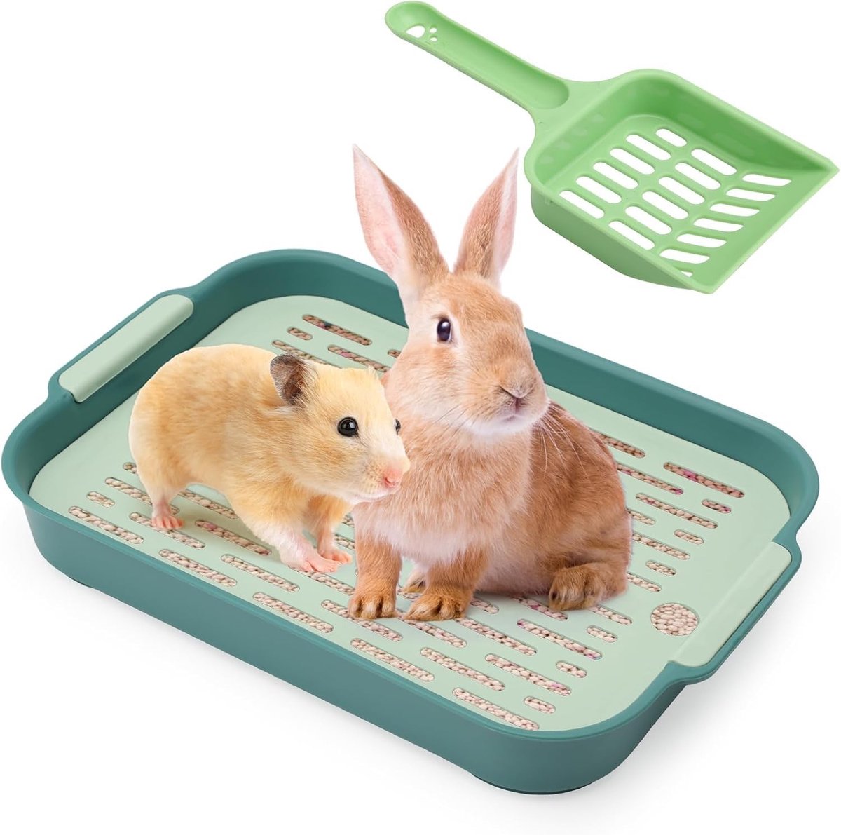 Solidchoice - Konijnen Toilet Tray voor Kleine Dieren (Groen, Klein)
