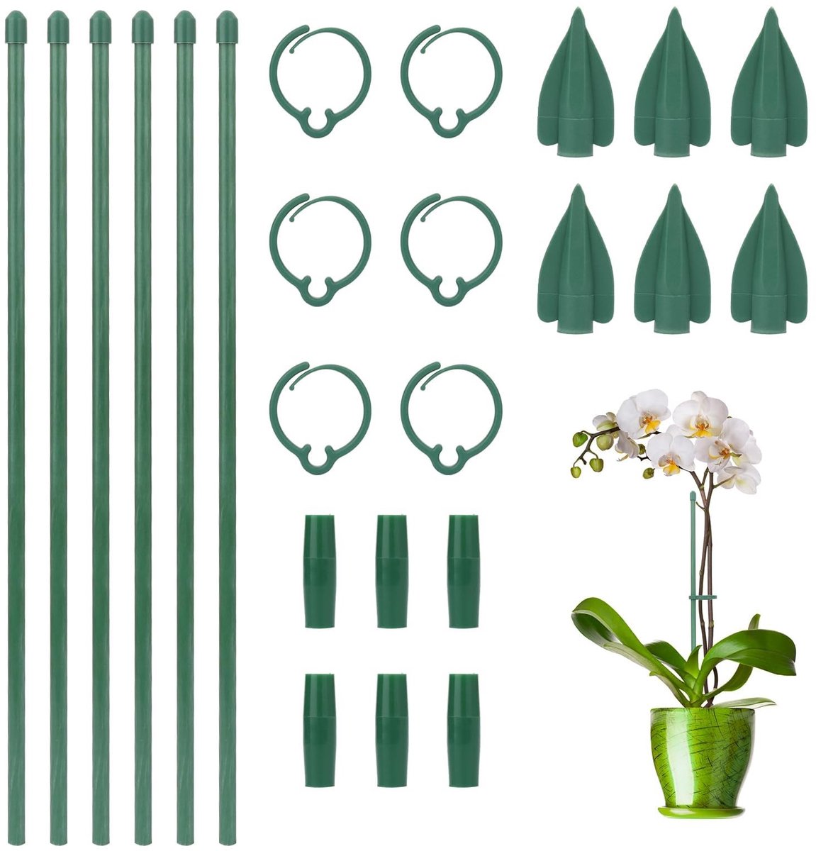 Solidchoice - Set van 6 Plantsteunen met Carabiner Haken