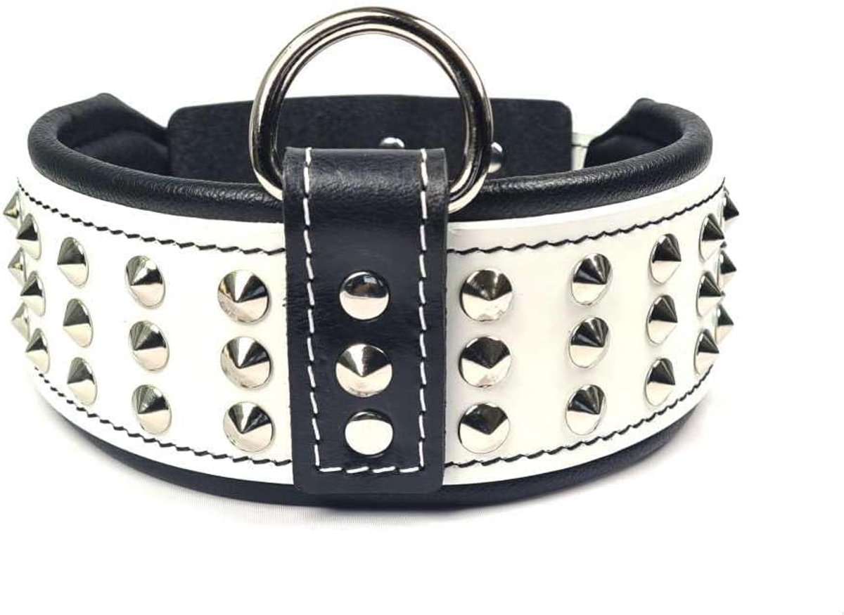 Bestia Star dog collar with rivets and inner lining 6.5 cm wide - ShopVlot