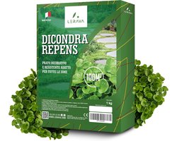 LERAVA Dichondra repens seeds (40m2) - No lawn mowing requirement - Weatherproof & low maintenance grass seed - ShopVlot