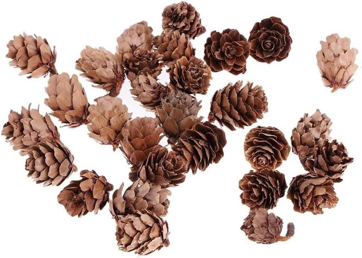 Natuurlijke Dennenappels - Gedroogde Kegels - Ambachtelijke Decoratie - Uniek Natuurlijk - 60 Stuks - Bruin