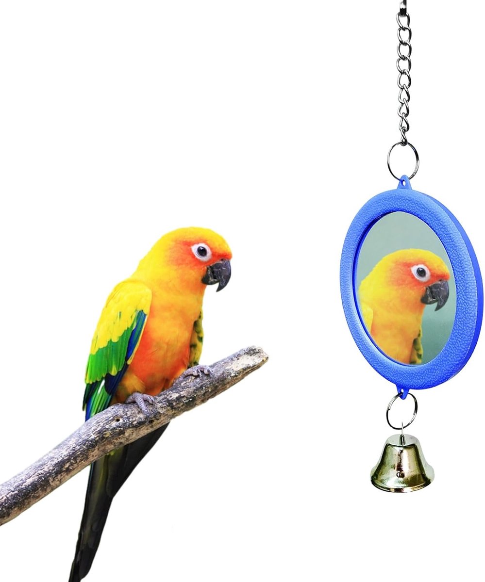 Vogel Spiegel met Bel Hangend Speelgoed - Acryl - Vermindert eenzaamheid en verveeldheid - ShopVlot