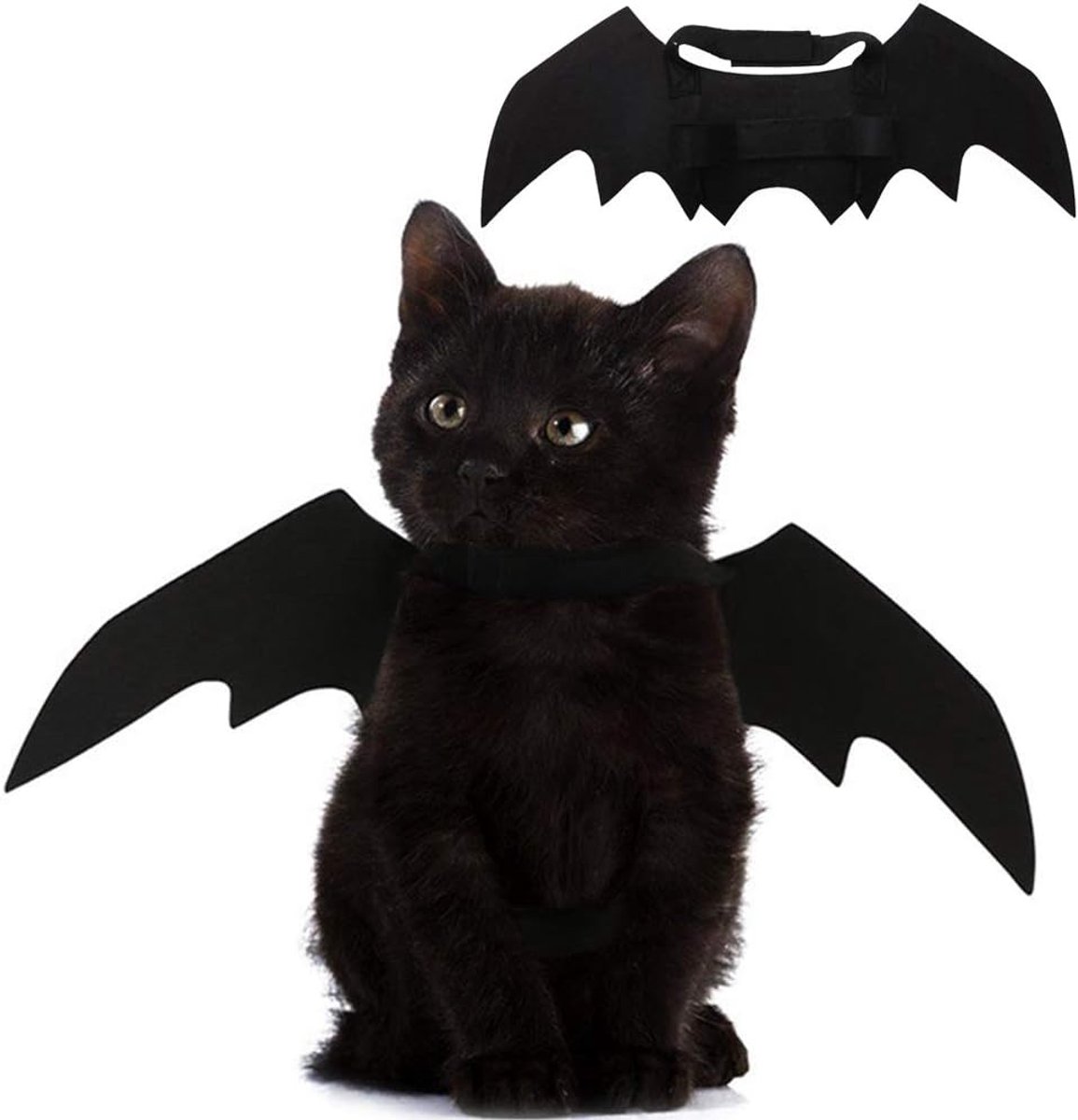 Vleermuisvleugels voor Huisdieren - Halloween Kostuumaccessoire - Honden- en Kattenvleugels - Schattig Verkleedaccessoire - Feestdecoratie - Zwart en Vleermuisstijl - Geschikt voor Kleine en Middelgrote Huisdieren - Elastisch en Comfortabel