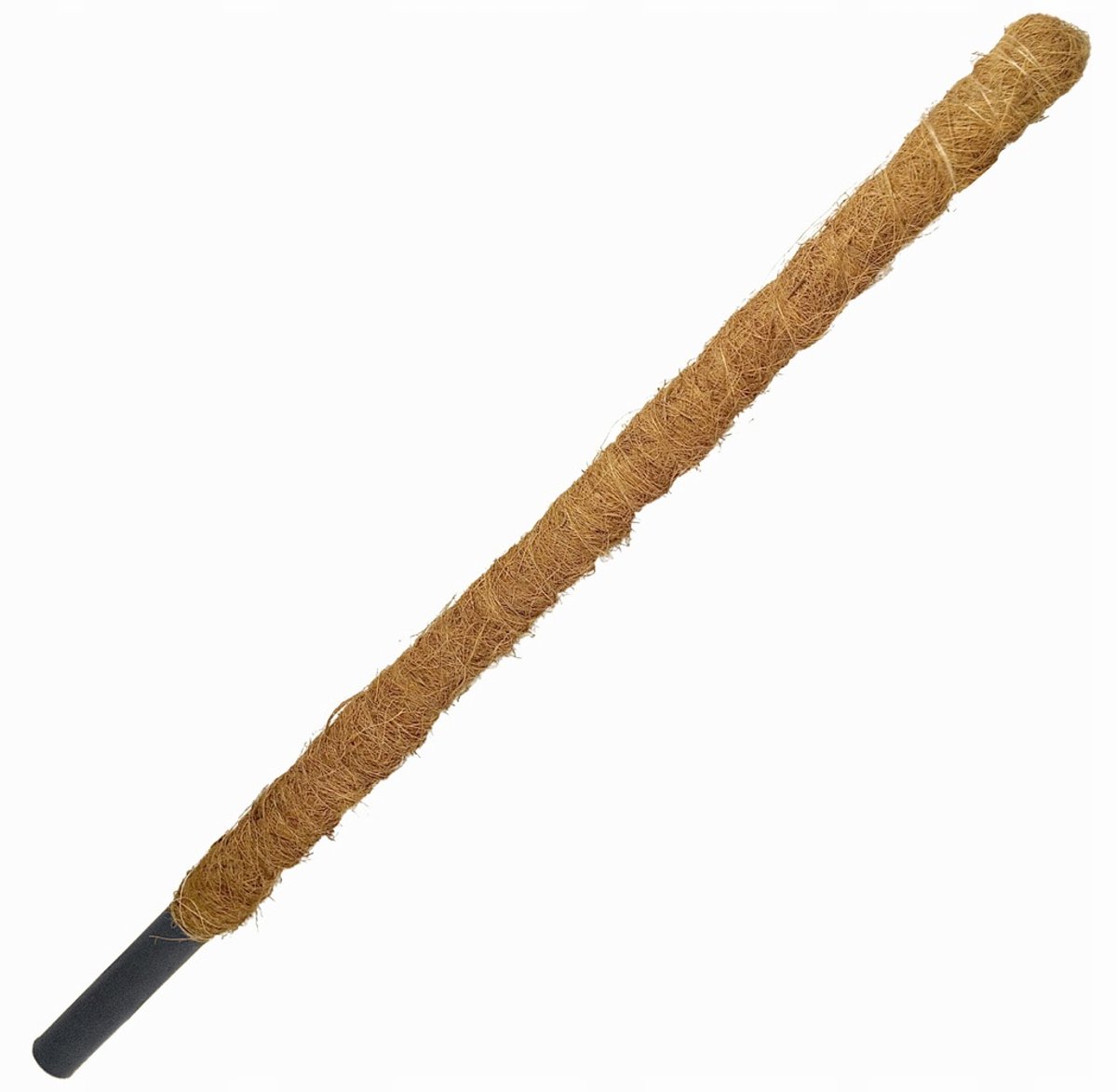 Kokos Paal Plantensteun 100cm - Stevig & Natuurlijk