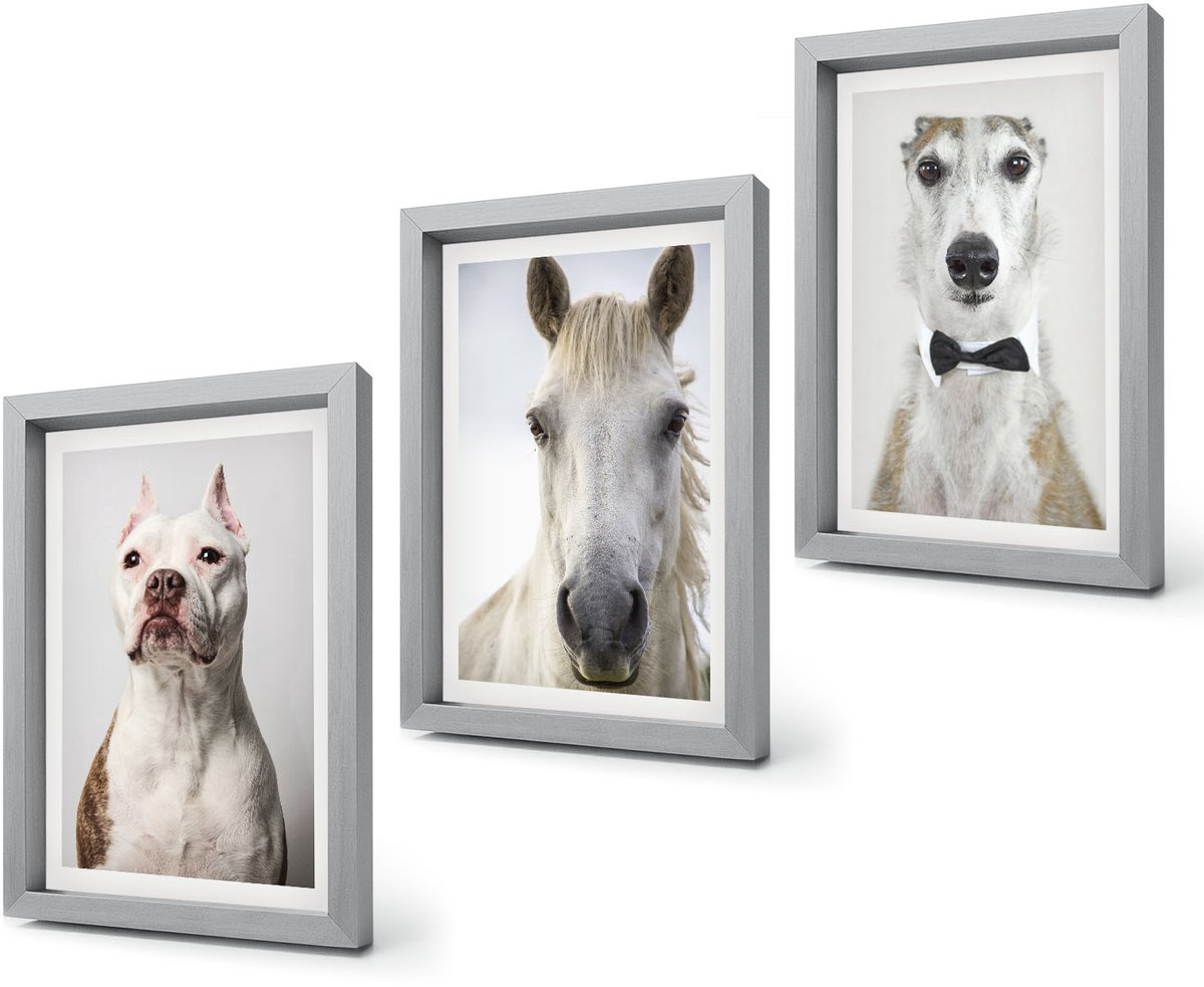Coloray 4-Delige Schilderij Set - Interessante portretten van honden en paarden in een elegante stijl. - 20 x 30 cm - Moderne Wanddecoratie - Slaapkamer - Stijlvolle Muurdecoratie Zilveren lijst