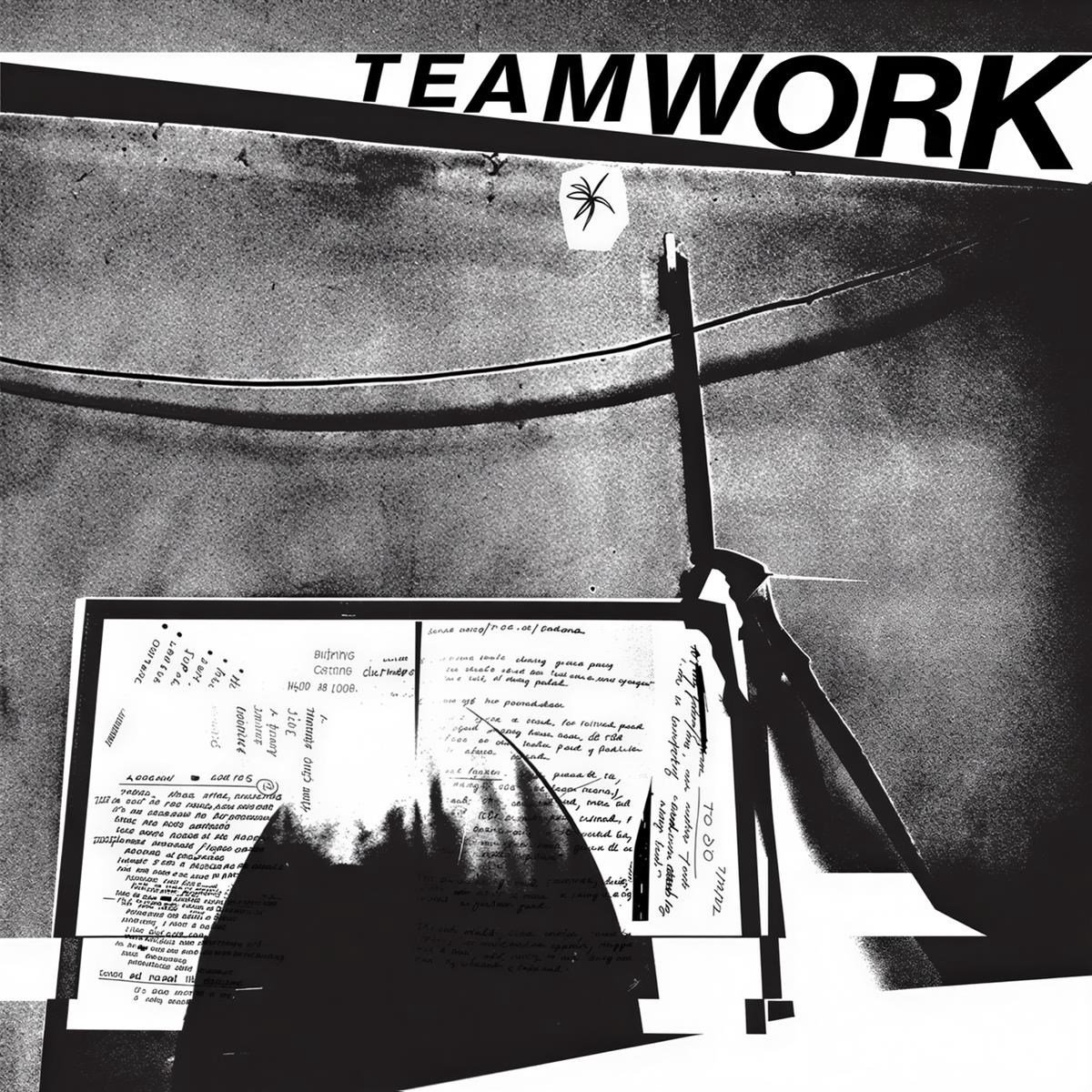 Team Work - Somebody's Gotta Do It (LP)