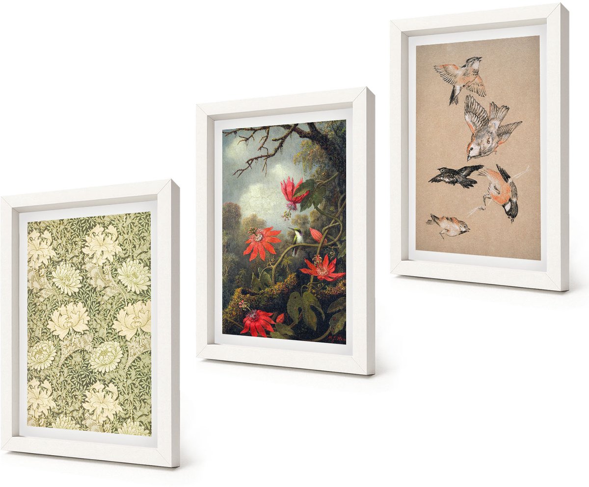 Coloray 3-Delige Schilderij Set - Bloemen en vogels in een natuurlijke omgeving - 20x30 - Moderne Wanddecoratie - Woonkamer - Muurdecoratie