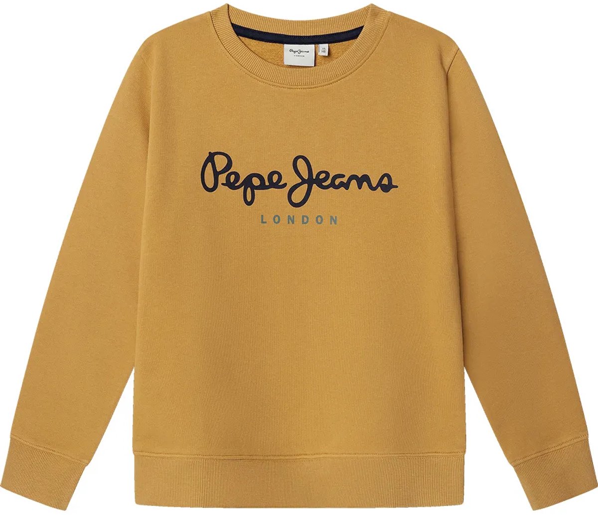 Pepe Jeans Art Sweatshirt Bruin 12 Years Jongen