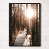 Zonnig Vlonderpad door het Bos Poster - Forest Path Collection - Natuur Posters - A2+ 43,2 x 61 cm
