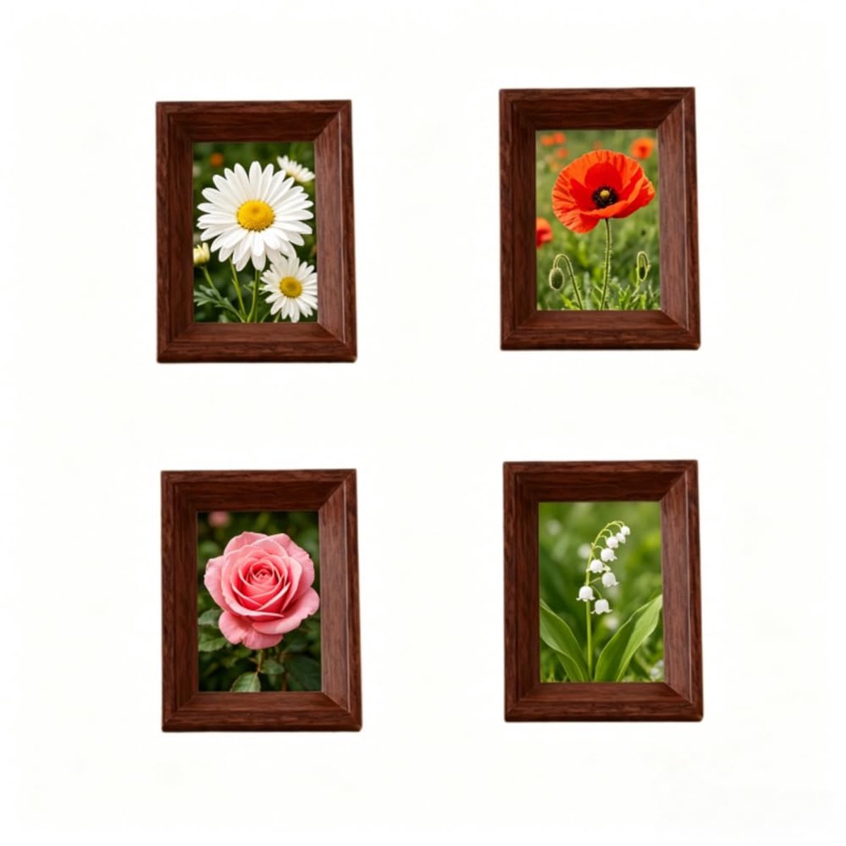 Fotolijsten 2,5 x 3,5 cm - moderne notenhouten set van 4 - portemonnee formaat - ideaal voor bureau decoratie - ShopVlot