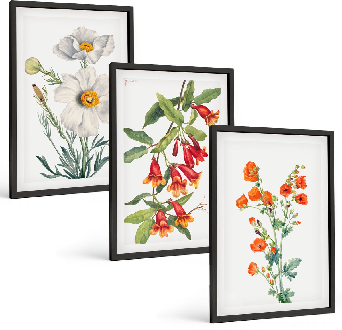 Tulup 4-Delige Schilderij Set - Bloemcomposities Retro Vintage Schilderij - 40 x 60 cm - Muurdecoratie - Wanddecoratie - Hal - Moderne Wanddecoratie
