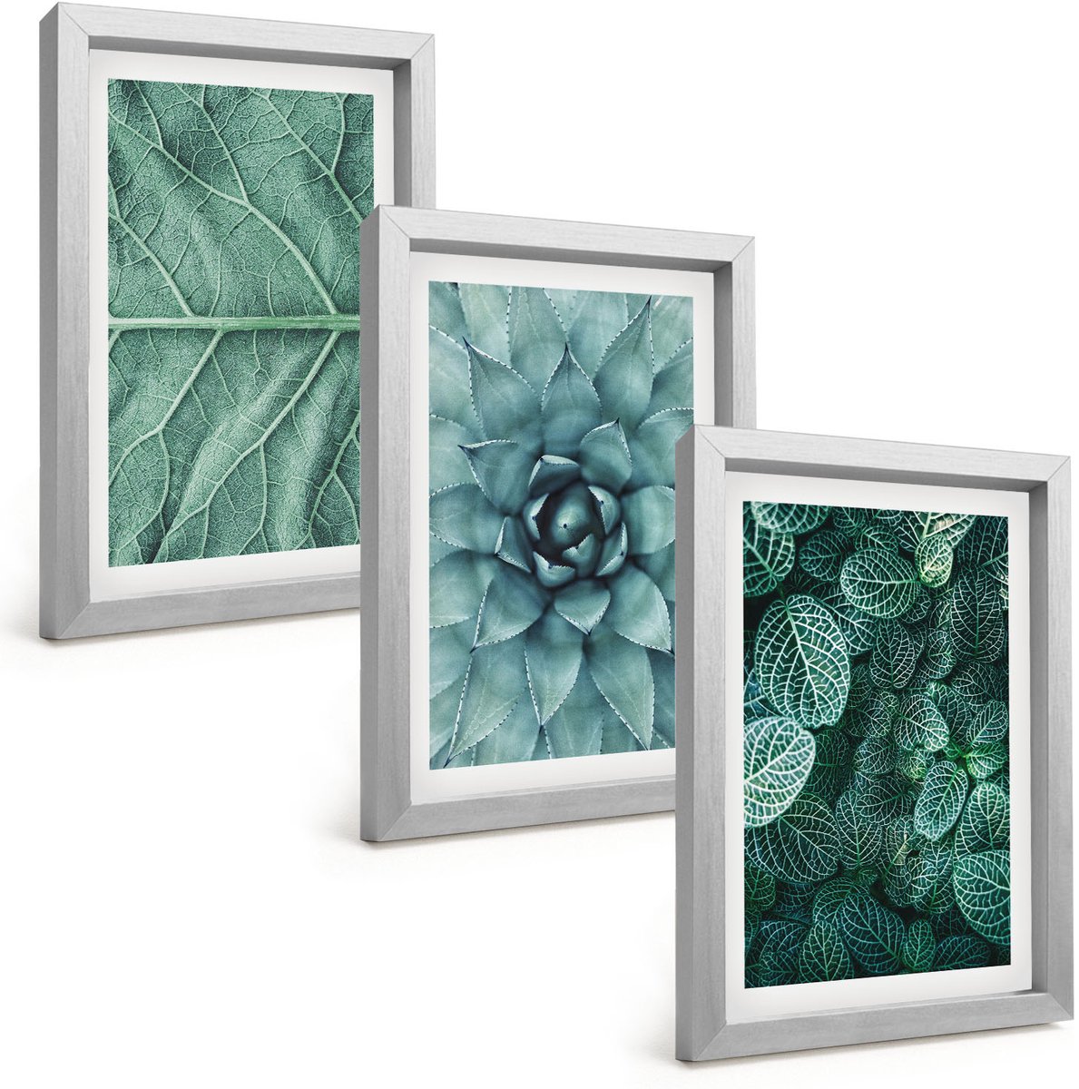 Tulup 4-Delige Schilderij Set - Close-ups van planten, bladeren en vetplanten - 20 x 30 cm - Wanddecoratie - Muurdecoratie - Moderne Interieurdecoratie - Decoratieve Schilderijen