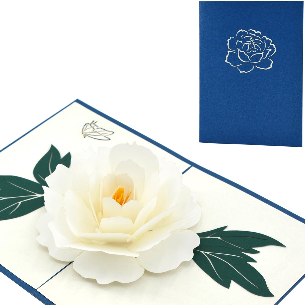 Fassory 3D pop-up witte camelia bloemenkaart, beterschap kaart, kaart achterlaten, sympathiekaarten, condoleancekaart - ShopVlot