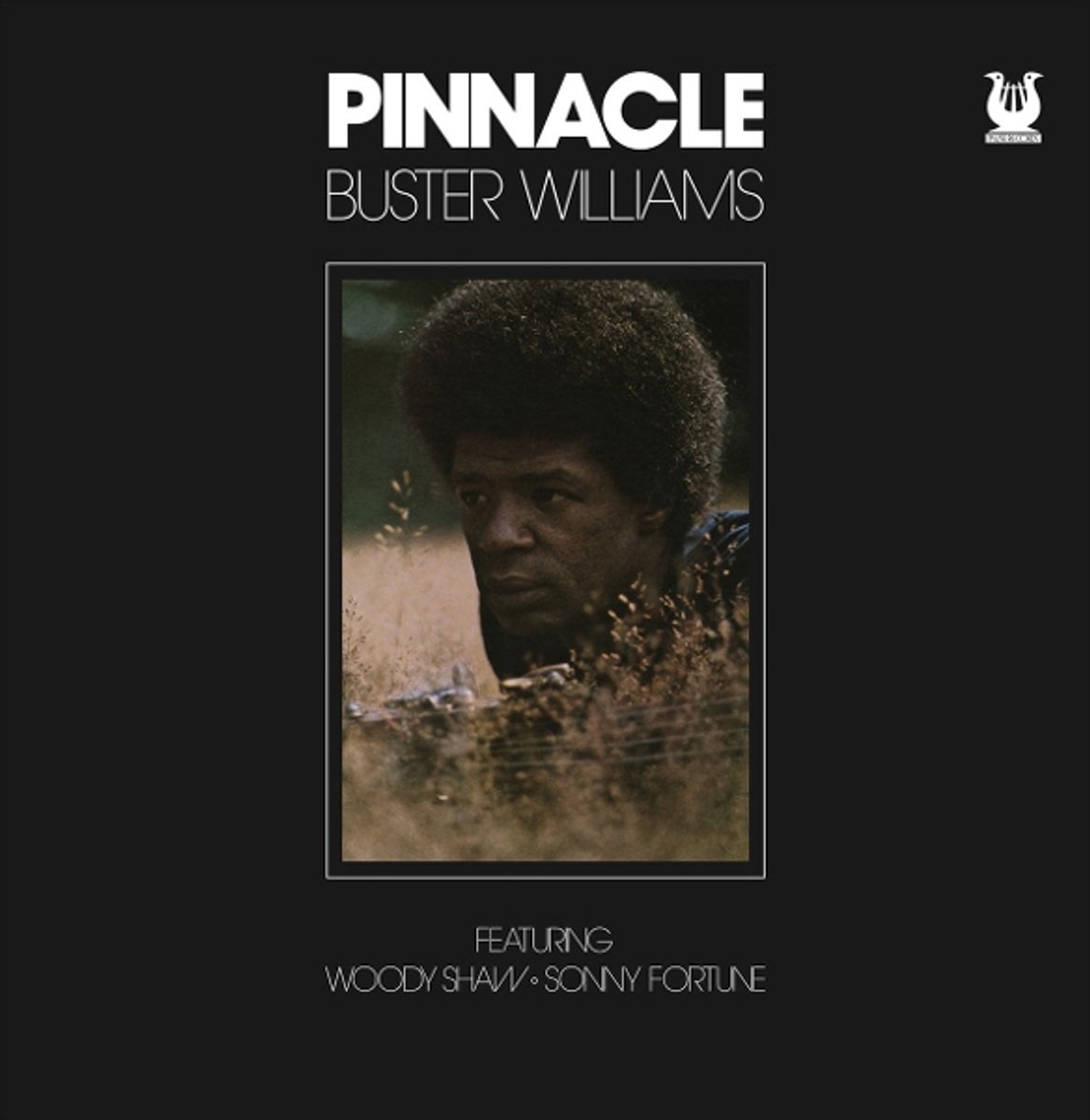 Buster Williams - Pinnacle (LP)