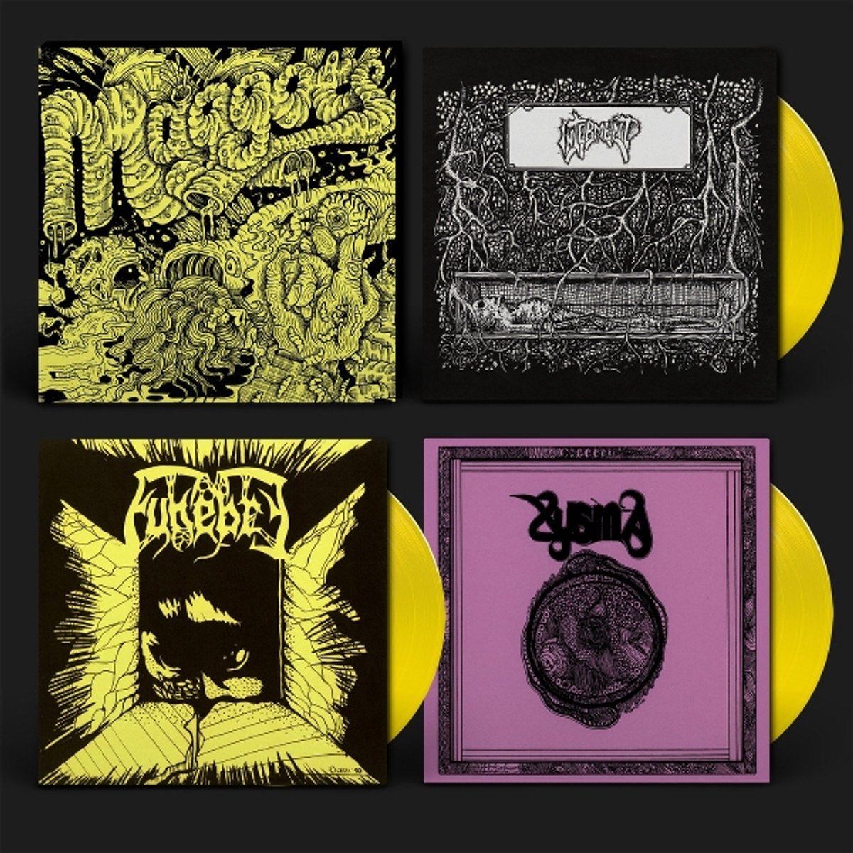 Maggots